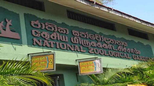 Another explosion near Dehiwala zoo
