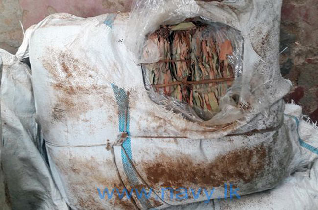 Navy recovers over 1011 kg of Beedi leaves at Thaulpadu beach