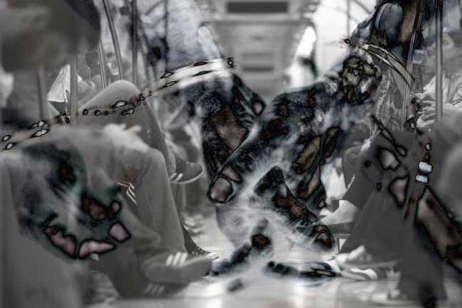 Malaysia busts human trafficking ring; 8 Lankans among arrested