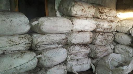 Navy seizes over 946 kg of Beedi leaves