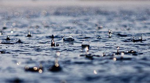 Rainfall and fairly gusty winds in several districts