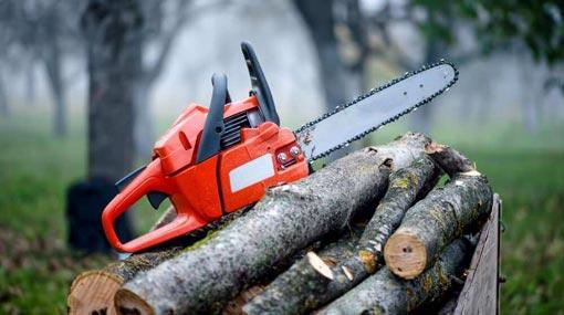 Cabinet approves President’s proposal to ban chainsaws
