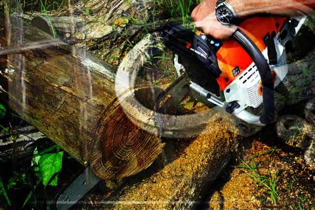 Illegal mobile sawmill in Haputale raided