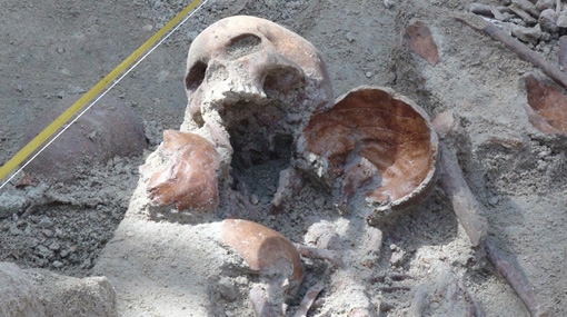 Mannar mass grave: Results of radiocarbon dating report questionable
