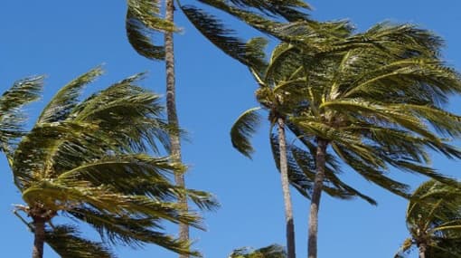 Gusty winds and showers likely to reduce from today