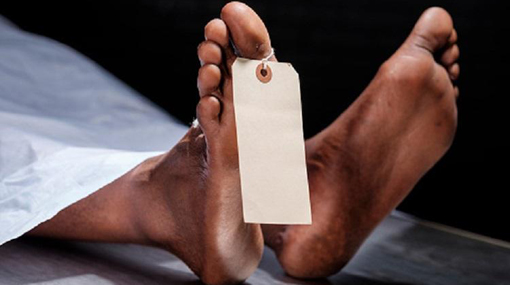 Indian engineer dies after falling off building at power plant