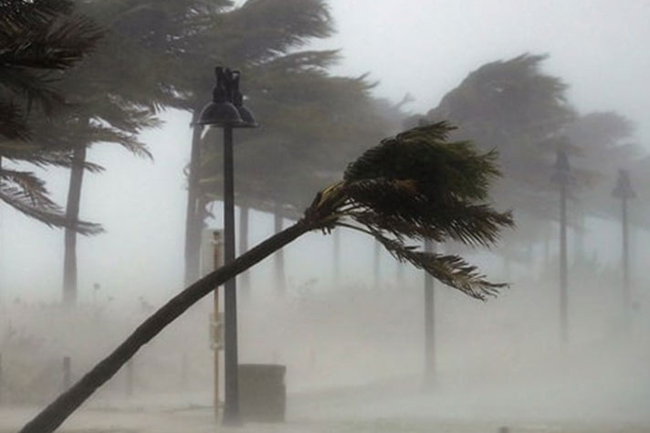 Sudden increase in wind speed expected - Met. Dept.