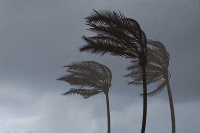 Windy condition expected to continue