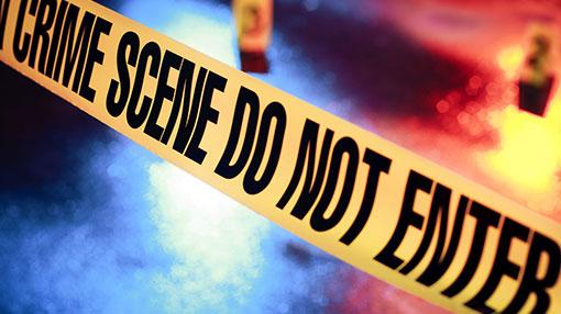 Teenage girl and 8-yr-old brother hacked to death by neighbor; suspect surrenders