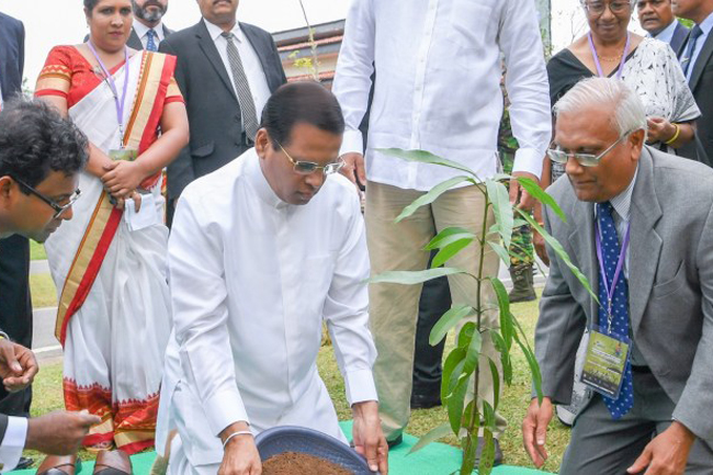 Environment is destroyed by people with political powers & racketeers - President