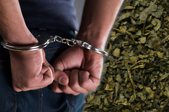 Person arrested with over 30kg of Cannabis
