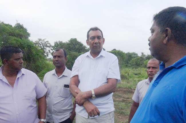 Govt. will bear responsibility of Habarana elephant deaths – Ranjith Aluvihare