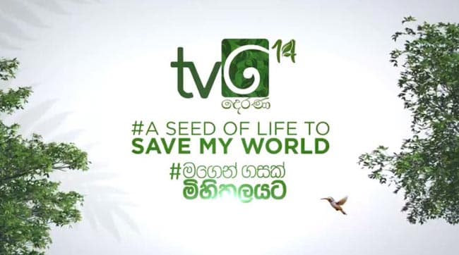 ‘A seed of life to save my world’: Be a proud part of a world record