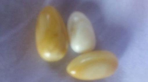 Three arrested while attempting to sell elephant pearls
