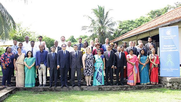 Commonwealth action group on mangroves meets in Sri Lanka