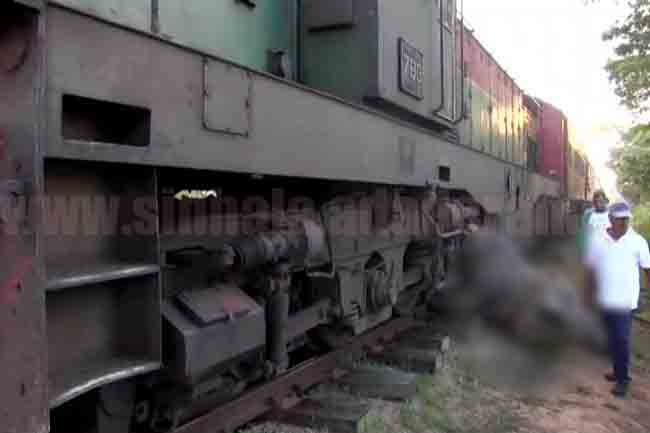 Elephant-train collision halts services on Batticaloa-Polonnaruwa line