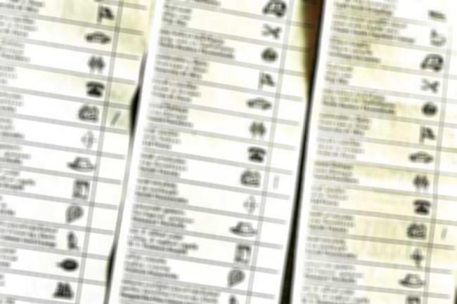 Printed prez poll ballot papers to be sent to EC before Nov. 6