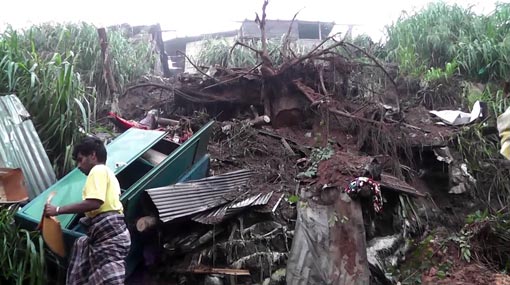 Tree falls on unauthorized dwelling; 3 including children killed