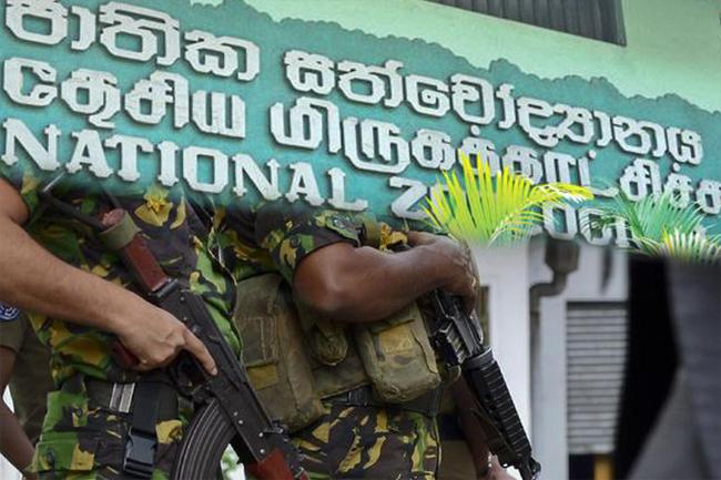 STF busts heroin racket involving zoo worker