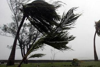 Strong winds expected to continue around the island
