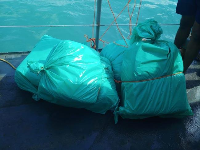 80kg Kerala Cannabis found in seas off Talaimannar Lighthouse