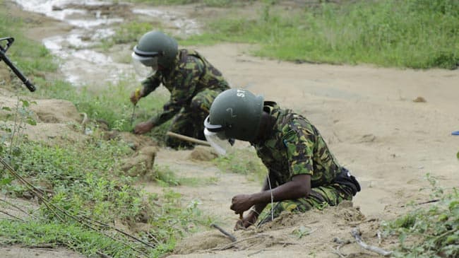 Twenty-four hand grenades found in paddy field