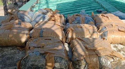 Navy finds 22 kg of Kerala Cannabis in Kachchativu Island