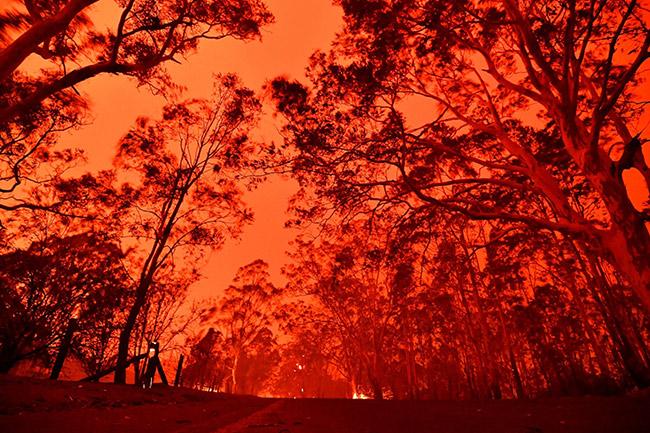 Thousands trapped on Australian beaches by dangerous bushfires