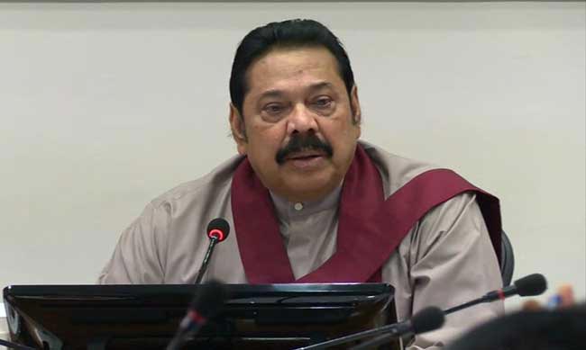 Plant a useful tree in every household on Independence Day - PM