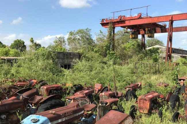 Govt. plans to re-open Kantale Sugar Factory