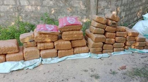 Half a ton of Kerala Cannabis seized within 36 hours