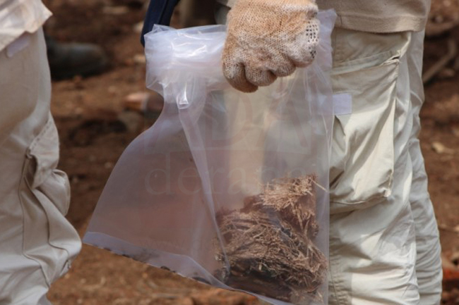 Bone fragments found in Mankulam presumed to be 20 years old