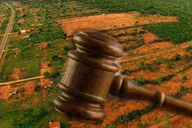 Verdict of petition against unauthorized resettlement in Wilpattu in April