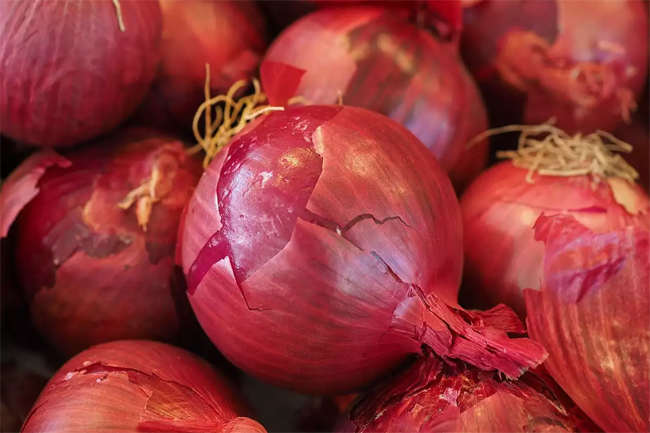 Maximum retail price for imported big onions declared