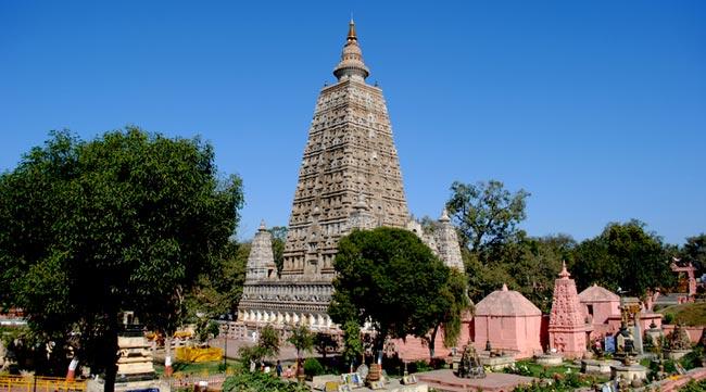 Dambadiva tours to be temporarily suspended