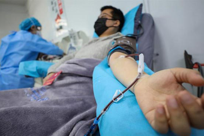 No new COVID-19 cases reported for second consecutive day