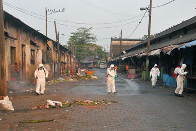 Navy conducts sterilization programme at Manning Market