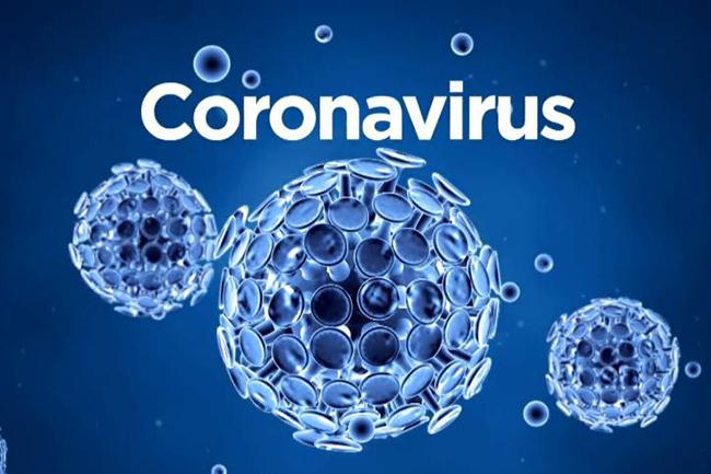 COVID-19 recoveries in Sri Lanka now at 25