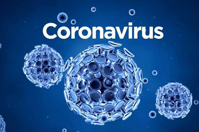 COVID-19 recoveries reach 50 as another patient regains health