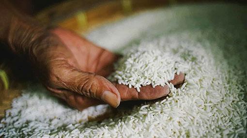 Operations of all rice mills declared an essential service