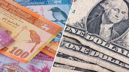 Sri Lankan Rupee appreciates against US Dollar