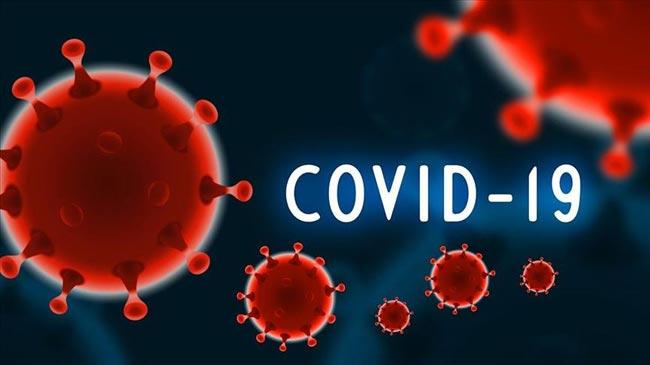 Woman returning from India tests positive for coronavirus