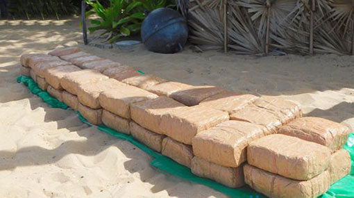 Two arrested with 93kg of cannabis in Jaffna