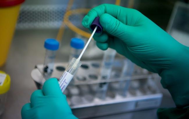 Two more COVID-19 cases bring tally to 337