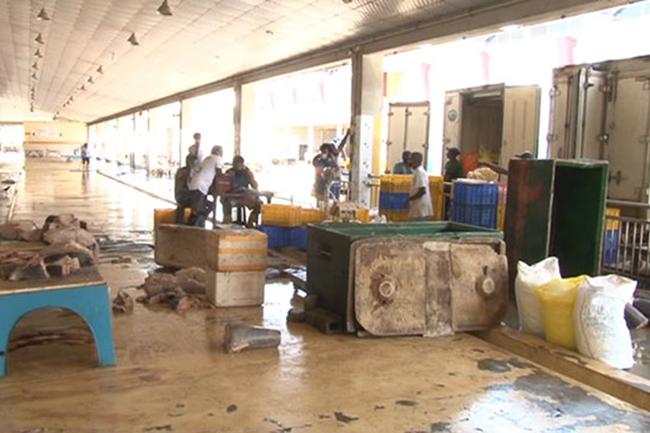 No coronavirus cases among 529 who underwent PCR tests from Peliyagoda Fish Market