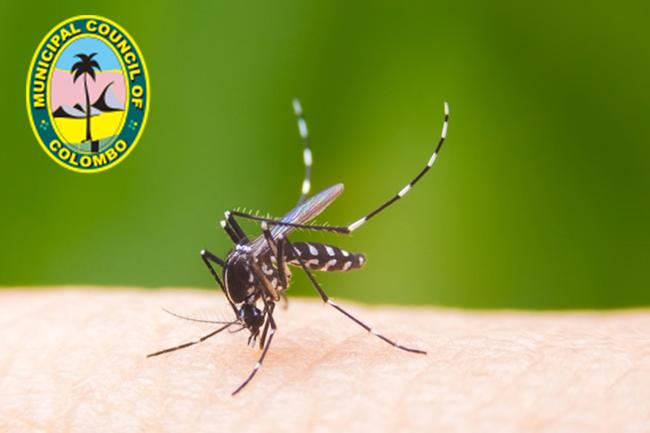 CMC to launch four-day dengue prevention program from today