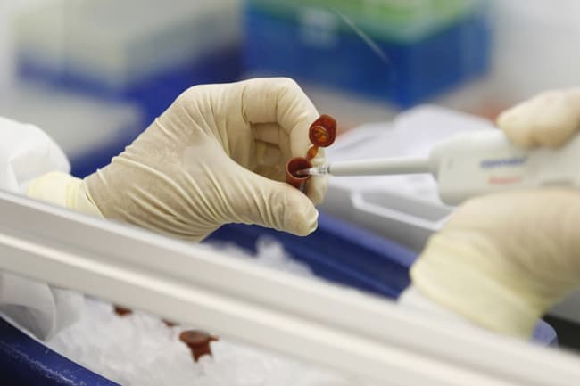Flu virus with ‘pandemic potential’ discovered in China