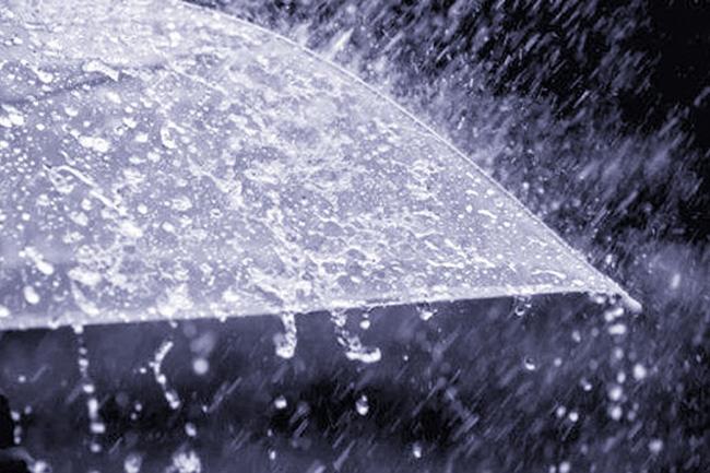 Showers or thundershowers expected in some provinces