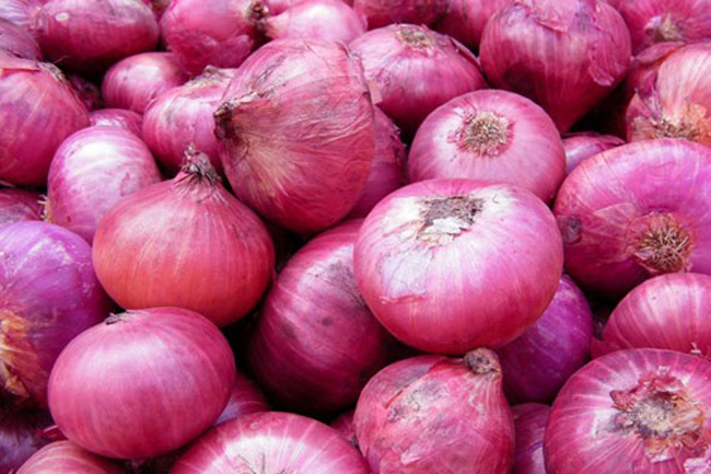 Import levy on big onions hiked