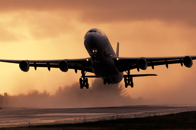 349 Sri Lankans repatriated from UAE, Qatar